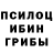 Галлюциногенные грибы MAGIC MUSHROOMS Alexsandr Makedonskii