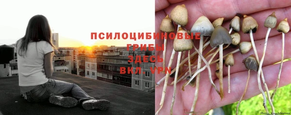 мяу мяу мука Алексеевка