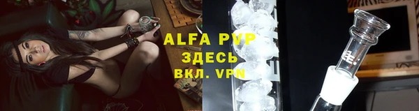 гидра Абаза