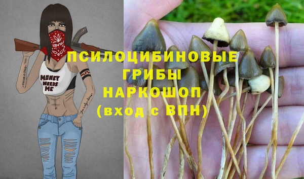 мяу мяу мука Алексеевка