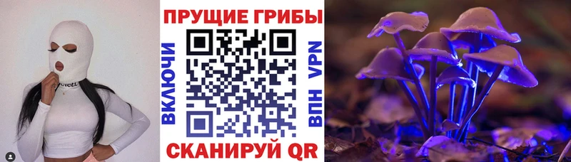 KRAKEN ТОР  Салават  Галлюциногенные грибы Cubensis 
