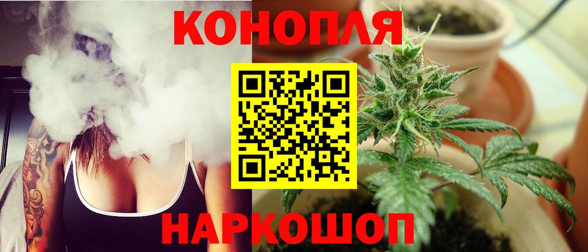 Бошки Шишки планчик Салават